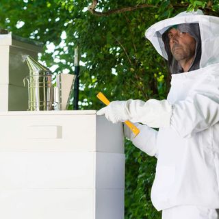 No. 5 - VIVO Professional Beekeeping Suit - 3