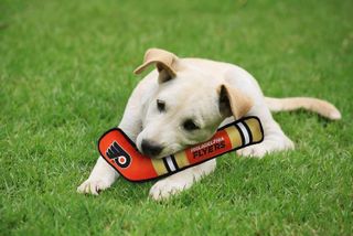 No. 1 - Pets First NHL Plush Hockey Stick Dog Toy - 3