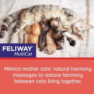 No. 4 - FELIWAY MultiCat Diffuser - 4