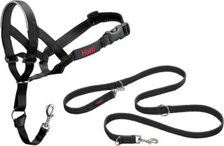 10 Best Dog Head Collars for Leash Training in 2021- 4