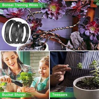 No. 4 - Bonsai Tree Care Kit - 4