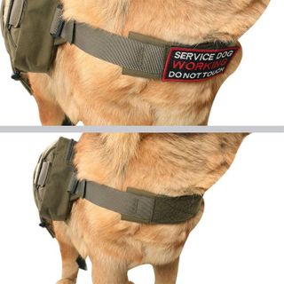 No. 6 - EXCELLENT ELITE SPANKER Dog Pack Hound Dog Saddle Bag Backpack - 4