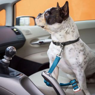 No. 9 - Dog Car Seat Belt - 3