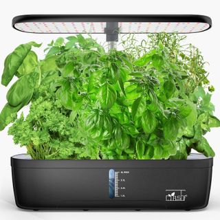 Top 10 Best Hydroponic Growing Kits for Indoor Gardening- 5