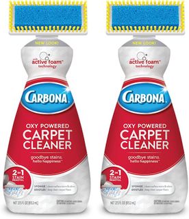 10 Best Carpet Stain Removers to Keep Your Home Clean and Fresh- 3