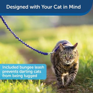 No. 9 - PetSafe Come With Me Kitty Harness and Bungee Leash - 4