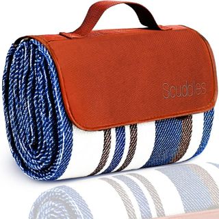 Top 10 Best Picnic Accessories for Outdoor Enthusiasts- 2