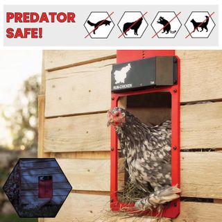 No. 2 - Automatic Chicken Coop Door Opener - 4