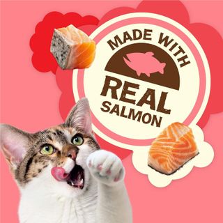 No. 3 - Friskies Natural Cat Treats Party Mix Natural Yums With Real Salmon - 3