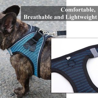 No. 5 - Balabuki Dog Harness - 3