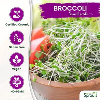 No. 3 - Broccoli Sprouts Seeds Kit - 3