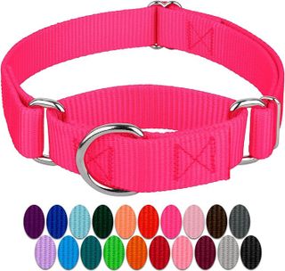 No. 10 - Hot Pink Martingale Heavy Duty Nylon Dog Collar - 1