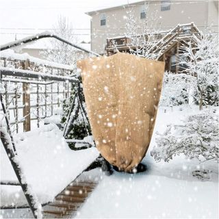 Top 10 Plant Covers for Winter Protection- 5