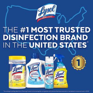 No. 10 - Lysol Multi-Surface Cleaner - 5