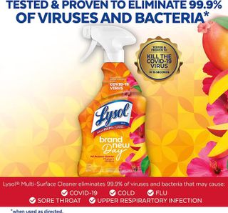 No. 5 - Lysol All-Purpose Cleaner - 3