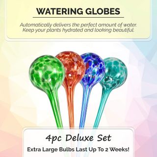 No. 2 - Blazin' Bison Indoor Plant Watering Globes - 3