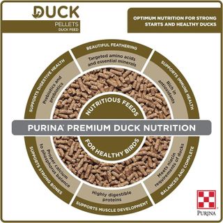 No. 7 - Purina Duck Feed Pellets - 4