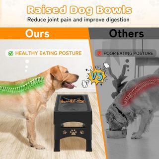 No. 2 - Dog Raised Bowls - 3