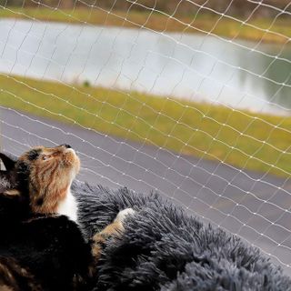 No. 3 - Cat Net Balcony Safety Net - 2