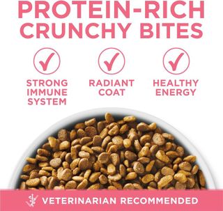 No. 9 - Purina ONE High Protein, Natural Dry Kitten Food - 2