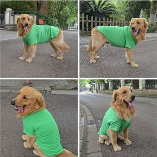 No. 4 - Lovelonglong Pet Clothing Dog Costumes Basic Blank T-Shirt Tee Shirts - 5