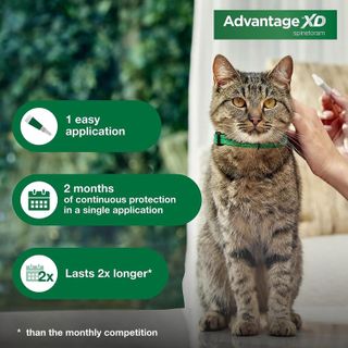 No. 10 - Advantage XD Large Cat Flea Prevention & Treatment - 5