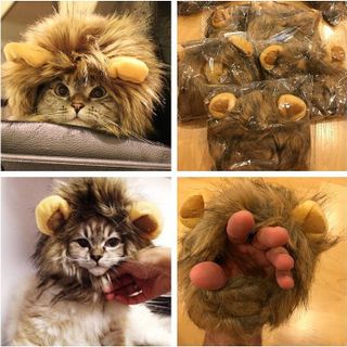 No. 4 - OMG Adorables Lion Mane Costume - 4