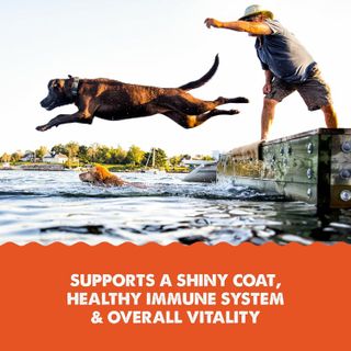 No. 3 - Grizzly Wild Alaskan Salmon Oil Dog Food Supplement - 4