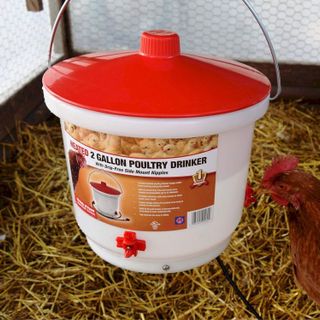 No. 6 - 2-Gallon Poultry Drinker - 5