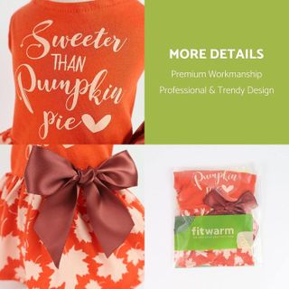 No. 2 - Fitwarm Thanksgiving Sweeter Than Pumpkin Pie Dog Dress - 5