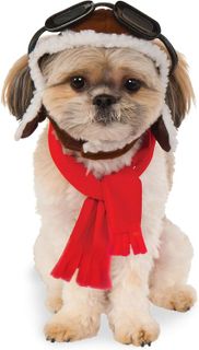 Top 10 Dog Hats for Your Stylish Pup- 3