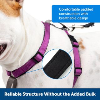 No. 5 - PetSafe 3 in 1 No-Pull Dog Harness - 5