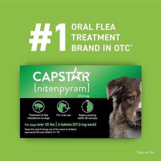 No. 2 - Capstar Fast-Acting Flea Treatment - 3