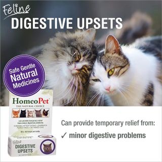 No. 4 - HomeoPet Feline Digestive Upsets - 2