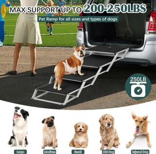 No. 10 - Extra Wide Dog Ramps - 5