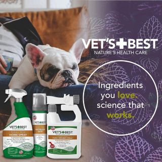 No. 7 - Vet's Best Dry Dog Flea Shampoo - 4
