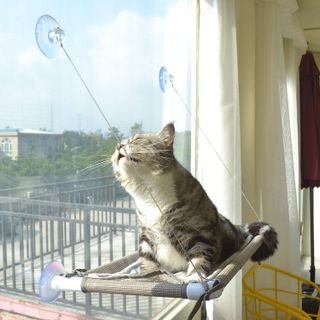 No. 2 - PEFUNY Cat Window Perch - 1