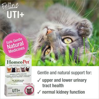 No. 3 - UTI Plus Natural Urinary Tract Medicine - 2
