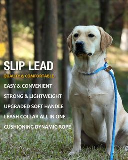 No. 9 - Lynxking Dog Leash Slip Lead Snap Hook Rope Leash Strong Heavy Duty Braided Dog Training Leash - 4