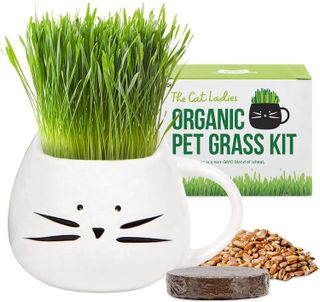 No. 8 - Cat Grass Growing Kit - 1