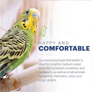 No. 10 - Prevue Pet Products Naturals Rope Ladder Bird Toy - 2