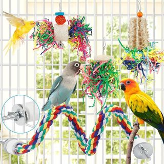 No. 3 - LovyCoCo Bird Shredder Toy - 4