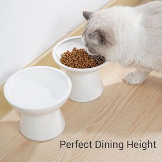 No. 10 - CEEFU Raised Cat Bowls - 4