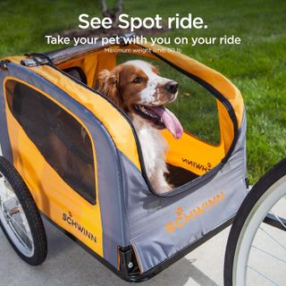 No. 1 - Schwinn Rascal Bike Dog Trailer - 4