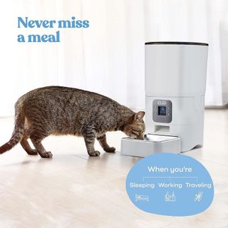 No. 4 - Smart Automatic Cat Feeders - 2