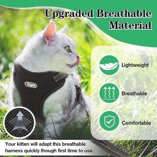 No. 10 - Supet Cat Harness and Leash Set - 2