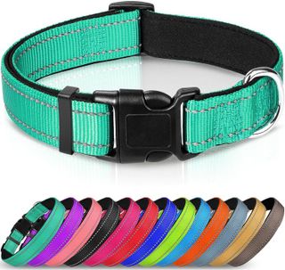 No. 3 - Joytale Reflective Dog Collar - 1