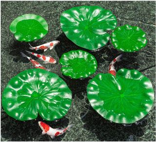 No. 4 - WhistenFla Lily Pads - 3