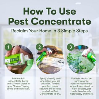 No. 8 - BugMD Pest Control Essential Oil Concentrate - 4