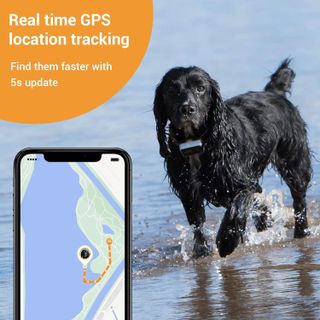 No. 10 - Pawfit 3s GPS Pet Tracker - 2